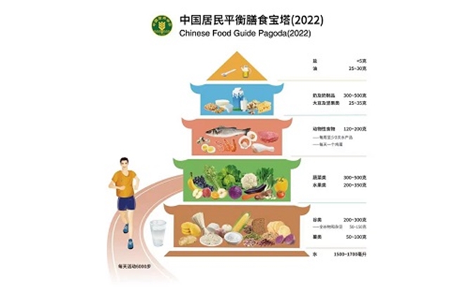 科学食养，助力健康